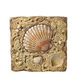 IMAGE OF New Stepping Stone Fan Shell Polystone 10 X 1 X 10 Set Of 6 Excellent Performance Durable