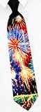  : Fireworks by Wild Ties black silk ties