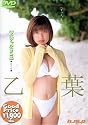 乙葉 [DVD]