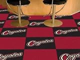 Phoenix Coyotes Team Carpet Tiles
