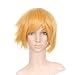 Strawberry Blonde Orange Anime Costume Cosplay Short Cut Wig