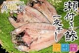瀬付きあじ 一夜干し(大サイズ) 3枚セット 山口県産 無添加