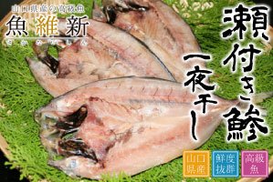 瀬付きあじ 一夜干し(大サイズ) 3枚セット 山口県産 無添加