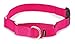PetSafe Martingale Dog Collar with Quick-Snap Buckle - Small, 3/4 Inch, Raspberry