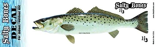 Salty Bones BPF2501 Decal