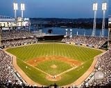 Cincinnati Reds Great American BallPark Color 8x10