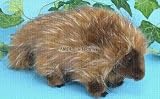 Porcupine 13