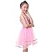 Anleolife Kids Girl Tutu Skirts Dance Ballet Princess Birthday Tutus Dress Gift Party (small, pink)