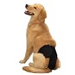 Clean Go Pet Cotton Male Pup Pant, Medium, Black