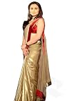 WSR2420 : Rani mukarji velvet border saree.