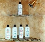 4 Shampoos & 1 Chi Conditioner Earth Sea Pine Chi Apple Cider Vinegar