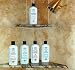 4 Shampoos &amp; 1 Chi Conditioner Earth Sea Pine Chi Apple Cider Vinegar