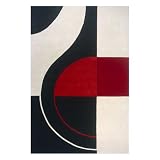 Momeni DELHIDL-22BLK80A0 Delhi Rug, Black