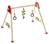 Eigenschaften Gollnest & Kiesel KG 739224 / Heimess 739224 - Baby-Fit Greif- und Spieltrainer Männchen rot