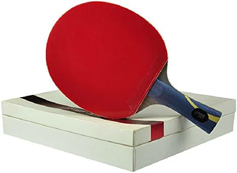 DHS Table Tennis Racket - Hurricane Hao