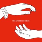 Hospice [Explicit] - The Antlers