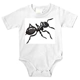 Onesie with insect, garden, ant