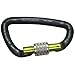 Edelrid Vireo Screwgate Night Carabiner