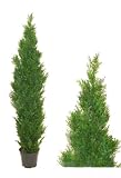 6' Artificial Cedar /Italian Cypress Topiary