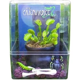 Click here to buy Seymour the Venus Flytrap Carnivorous Plant Pet by My Carnivore.