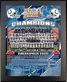 2006 Indianapolis Colts Super Bowl XLI Champions 11