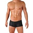 Mens Classic Competition Style Trunk Boxer Swimsuit with Sexy Fashion Front Pouch by Gary Majdell Sport