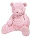 Baby : 13 in. Pink Teddy