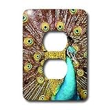 Birds - Colorful Peacock - Light Switch Covers - 2 plug outlet cover