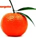 20 TANGERINE Mandrin Orange Citrus Reticulata Fruit Tree Seeds