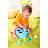 Shape Sorter Curioso