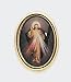 Divine Mercy Religious Lapel Pin - Gold Plated