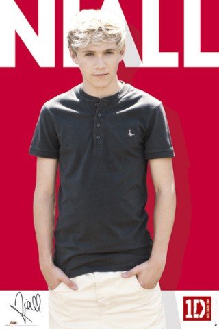 Image result for the revolution of niall horan