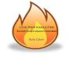 Love Your Kindle Fire: The ILMK Guide to Amazon's Entertablet