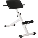 physionics� - Panca dorsale e glutei panca fitness multifunzione