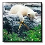 Curious Polar Bear Cub - 10x10 Wall Clock