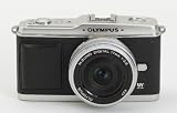 OLYMPUS PEN マイクロ一眼 E-P1/E-P2用 貼り革キット 4008ライカシボ【送料無料】 画像