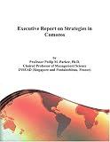 Executive Report on Strategies in Comoros