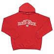 Boston Red Sox MLB "Goalie" Hooded Sweatshirt (Dark Red)(Full Chest Logo)