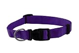 Large Solid Adjustable Pet Collar with EZ Snap Buckle, Purple