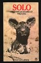 Solo: The story of an African wild dog