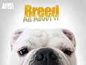 Breed All About It