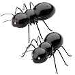 Picnic Ants Salt and Pepper Shaker Set - Black Handpainted Ceramic 4"
