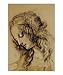 After Leonardo Da vinci Testa di donna di profilo People Giclee Poster Print by Emers...