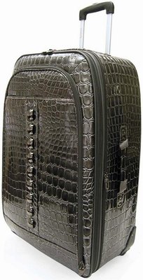 Charcoal Kathy Van Zeeland Glamour Shot 29" Expandable Upright
