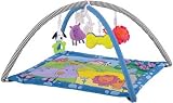 NEW! Puppy Builders Pull n Play Puppy Gym Puppy Toy