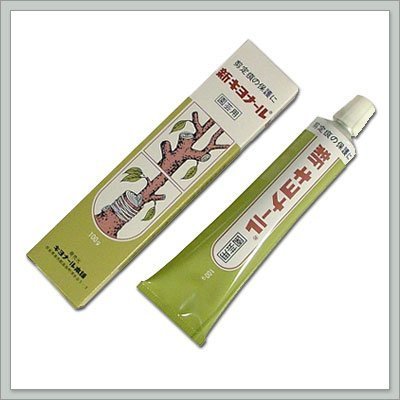 Joebonsai Bonsai Pruning Compound - Cut Paste Kiyonal 100 g Joebonsai Bonsai Pruning Compound - Cut Paste Kiyonal 100 g