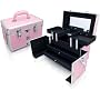 Pink Aluminum Makeup Train Studio Case Style No. TS-38