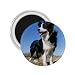 Border Collie Refrigerator Magnet