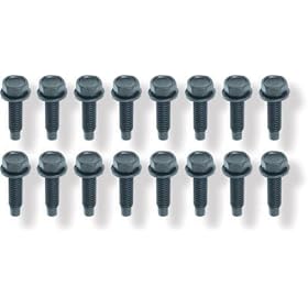 Oldsmobile Cutlass, Pontiac Firebird/GTO/Ventura Door Hinge Bolts - 16pc 68-74 75 76 77 78 79 80 81