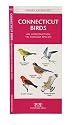 Connecticut Birds